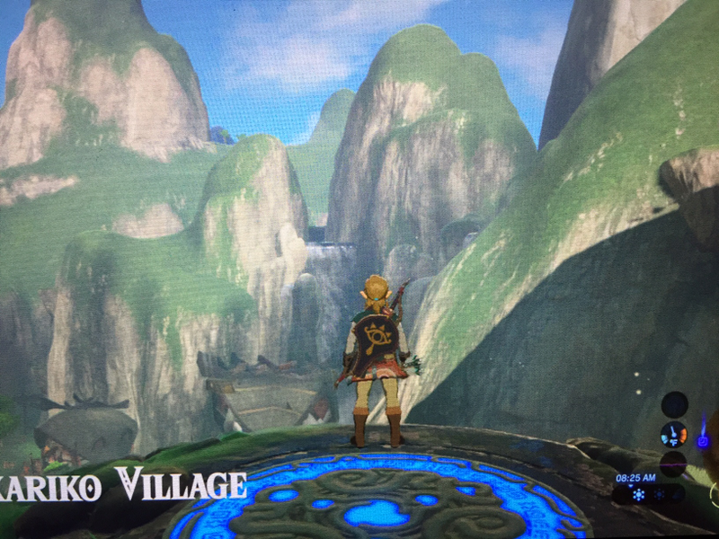 Illustration for article titled Here are Some of my Favorite Screenshots from The Legend of Zelda: Breath of the Wild